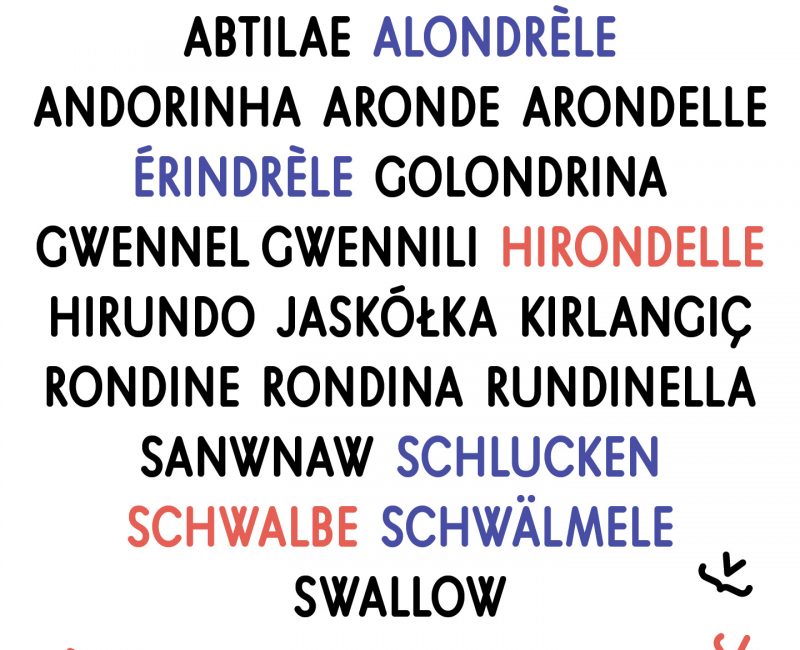 RESEAU1_AppelACandidature_CastelCoucou_Hirondelle2025